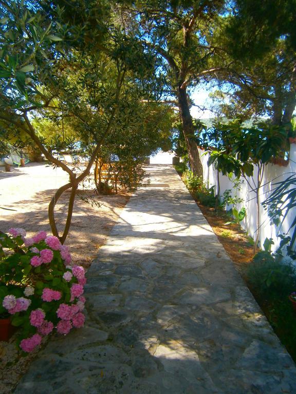 Bed & Breakfast Pansion Rade Hotel Pirovac Buitenkant foto