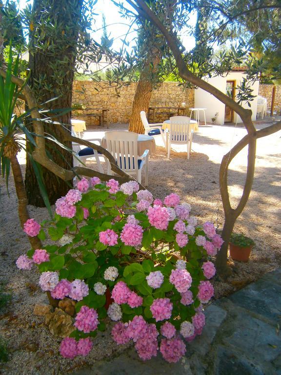 Bed & Breakfast Pansion Rade Hotel Pirovac Buitenkant foto